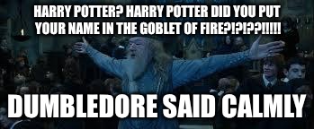 Harry Potter | HARRY POTTER? HARRY POTTER DID YOU PUT YOUR NAME IN THE GOBLET OF FIRE?!?!??!!!!! DUMBLEDORE SAID CALMLY | image tagged in harry potter | made w/ Imgflip meme maker