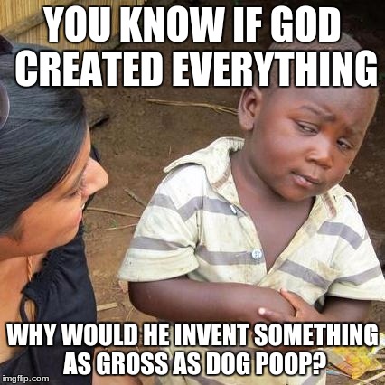 Third World Skeptical Kid Meme | YOU KNOW IF GOD CREATED EVERYTHING; WHY WOULD HE INVENT SOMETHING AS GROSS AS DOG POOP? | image tagged in memes,third world skeptical kid | made w/ Imgflip meme maker