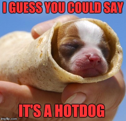 A Hot dog Irl | I GUESS YOU COULD SAY; IT'S A HOTDOG | image tagged in memes,funny,hotdog | made w/ Imgflip meme maker
