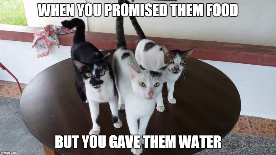 WHEN YOU PROMISED THEM FOOD; BUT YOU GAVE THEM WATER | made w/ Imgflip meme maker