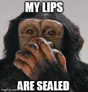 MY LIPS ARE SEALED | made w/ Imgflip meme maker