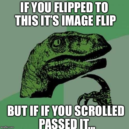 Scrollmageflip? I don’t know. | IF YOU FLIPPED TO THIS IT’S IMAGE FLIP; BUT IF IF YOU SCROLLED PASSED IT... | image tagged in memes,philosoraptor | made w/ Imgflip meme maker