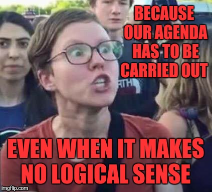 BECAUSE OUR AGENDA HAS TO BE CARRIED OUT EVEN WHEN IT MAKES NO LOGICAL SENSE | made w/ Imgflip meme maker