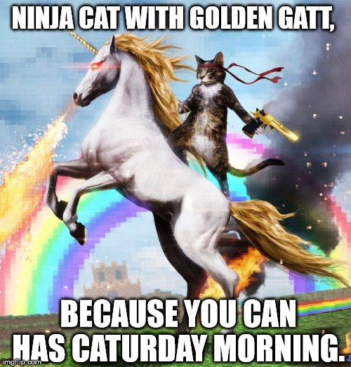 Ninja Cat Attack | NINJA CAT WITH GOLDEN GATT, BECAUSE YOU CAN HAS CATURDAY MORNING. | image tagged in memes,welcome to the internets,caturday,ninja,cat | made w/ Imgflip meme maker