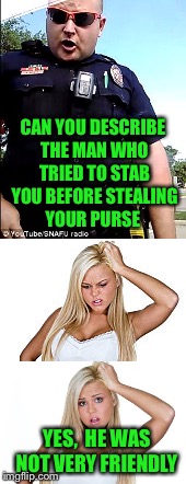 I would not want their job  | CAN YOU DESCRIBE THE MAN WHO TRIED TO STAB YOU BEFORE STEALING YOUR PURSE; YES,  HE WAS NOT VERY FRIENDLY | image tagged in cop,dumb blonde | made w/ Imgflip meme maker