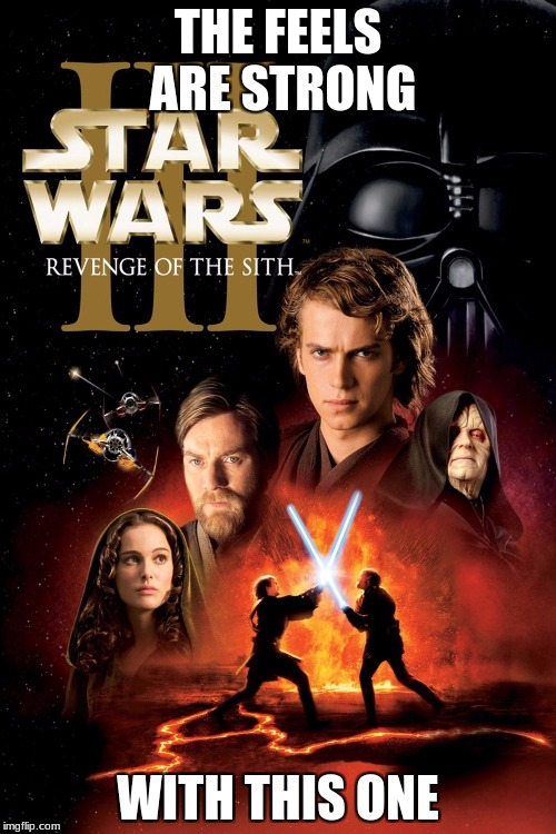 Revenge of the Sith | THE FEELS ARE STRONG; WITH THIS ONE | image tagged in revenge of the sith | made w/ Imgflip meme maker