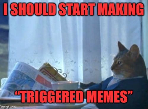 That’s a good idea.. | I SHOULD START MAKING; “TRIGGERED MEMES” | image tagged in memes,i should buy a boat cat | made w/ Imgflip meme maker