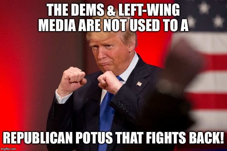 THE DEMS & LEFT-WING MEDIA ARE NOT USED TO A; REPUBLICAN POTUS THAT FIGHTS BACK! | image tagged in trump vs liberals | made w/ Imgflip meme maker