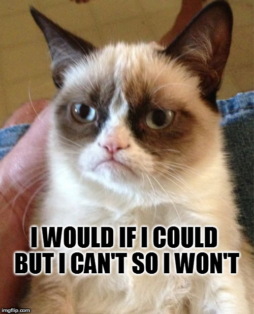 Grumpy Cat Meme | I WOULD IF I COULD BUT I CAN'T SO I WON'T | image tagged in memes,grumpy cat | made w/ Imgflip meme maker