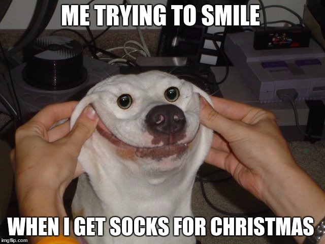 Smile Dog | ME TRYING TO SMILE; WHEN I GET SOCKS FOR CHRISTMAS | image tagged in smile dog | made w/ Imgflip meme maker