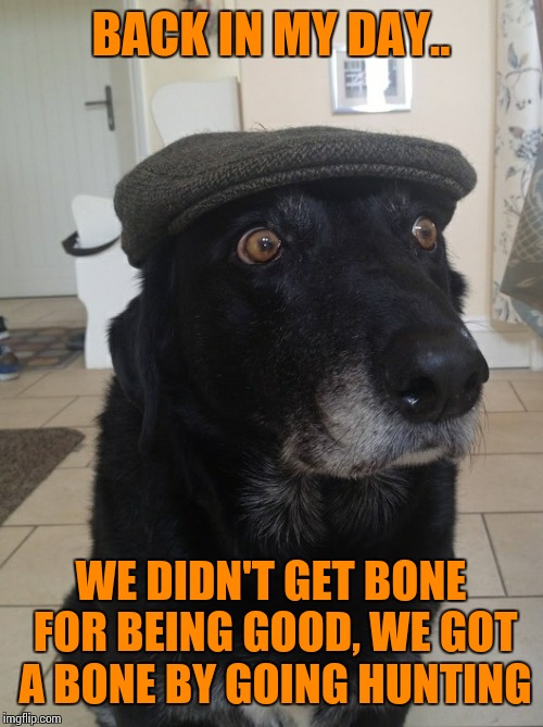 Thanks ghost for the template I hope you liked it!! | BACK IN MY DAY.. WE DIDN'T GET BONE FOR BEING GOOD, WE GOT A BONE BY GOING HUNTING | image tagged in back in my day dog,ghostofchurch,sir_unknown | made w/ Imgflip meme maker
