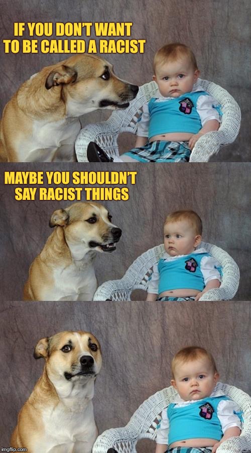 If you don’t want to be called a racist | IF YOU DON’T WANT TO BE CALLED A RACIST; MAYBE YOU SHOULDN’T SAY RACIST THINGS | image tagged in dog,baby,you,me,racism | made w/ Imgflip meme maker