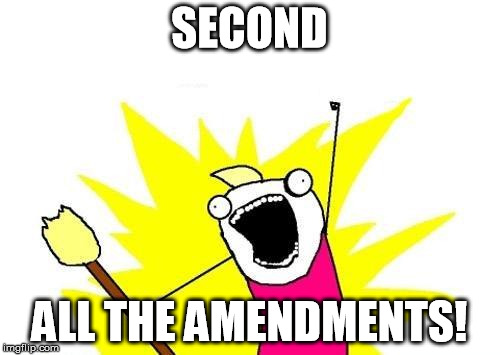 X All The Y Meme | SECOND ALL THE AMENDMENTS! | image tagged in memes,x all the y | made w/ Imgflip meme maker