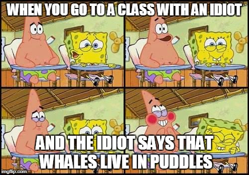 You don't have to believe it if you don't want to,but this happened in my class.Boy,how hard was I laughing back then..... | WHEN YOU GO TO A CLASS WITH AN IDIOT; AND THE IDIOT SAYS THAT WHALES LIVE IN PUDDLES | image tagged in spongebob patrick,idiot,powermetalhead,laugh,retarded,idiocracy | made w/ Imgflip meme maker