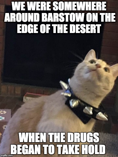 Fear and Loathing |  WE WERE SOMEWHERE AROUND BARSTOW ON THE EDGE OF THE DESERT; WHEN THE DRUGS BEGAN TO TAKE HOLD | image tagged in cats,humor | made w/ Imgflip meme maker