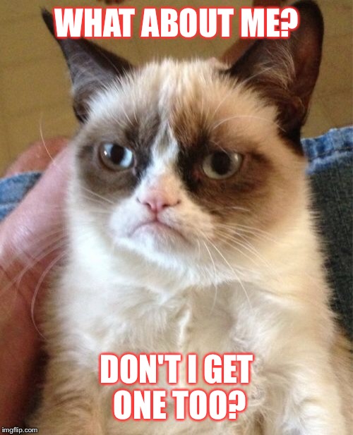 Grumpy Cat Meme | WHAT ABOUT ME? DON'T I GET ONE TOO? | image tagged in memes,grumpy cat | made w/ Imgflip meme maker