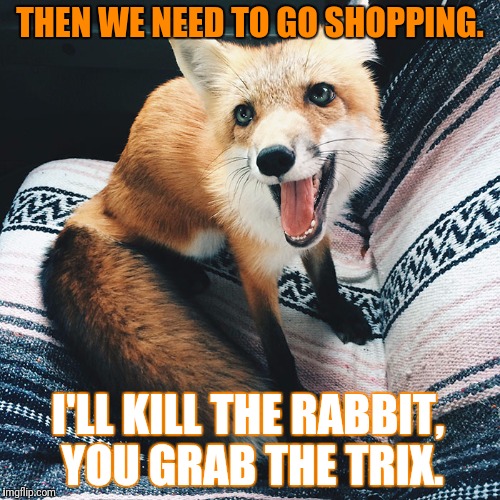 THEN WE NEED TO GO SHOPPING. I'LL KILL THE RABBIT, YOU GRAB THE TRIX. | made w/ Imgflip meme maker