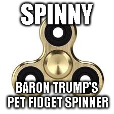 Fidget Spinner | SPINNY; BARON TRUMP'S PET FIDGET SPINNER | image tagged in fidget spinner | made w/ Imgflip meme maker