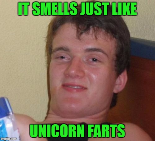 10 Guy Meme | IT SMELLS JUST LIKE UNICORN FARTS | image tagged in memes,10 guy | made w/ Imgflip meme maker
