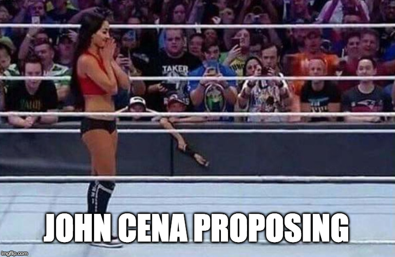 A Wrestlemania moment.  | JOHN CENA PROPOSING | image tagged in wrestlemania,pro wrestling,john cena,you can't see me,iwanttobebacon | made w/ Imgflip meme maker