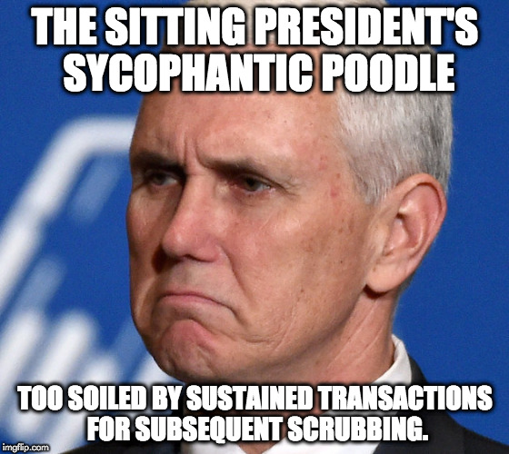 Mike Pence | THE SITTING PRESIDENT'S SYCOPHANTIC POODLE; TOO SOILED BY SUSTAINED TRANSACTIONS FOR SUBSEQUENT SCRUBBING. | image tagged in mike pence | made w/ Imgflip meme maker