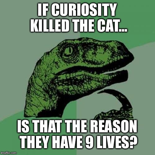 Everything makes sense now...?! | IF CURIOSITY KILLED THE CAT…; IS THAT THE REASON THEY HAVE 9 LIVES? | image tagged in memes,philosoraptor | made w/ Imgflip meme maker