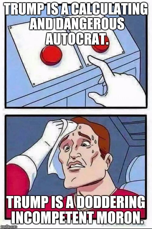 Two Buttons Meme | TRUMP IS A CALCULATING AND DANGEROUS AUTOCRAT. TRUMP IS A DODDERING INCOMPETENT MORON. | image tagged in hard choice to make | made w/ Imgflip meme maker
