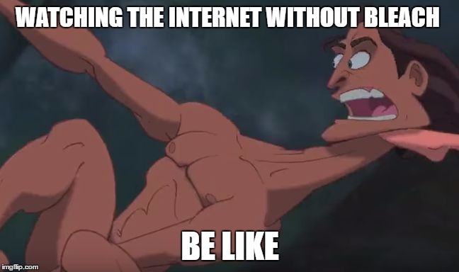 WATCHING THE INTERNET WITHOUT BLEACH; BE LIKE | image tagged in watching x be like | made w/ Imgflip meme maker