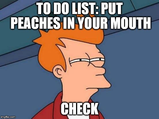 Futurama Fry Meme | TO DO LIST: PUT PEACHES IN YOUR MOUTH CHECK | image tagged in memes,futurama fry | made w/ Imgflip meme maker