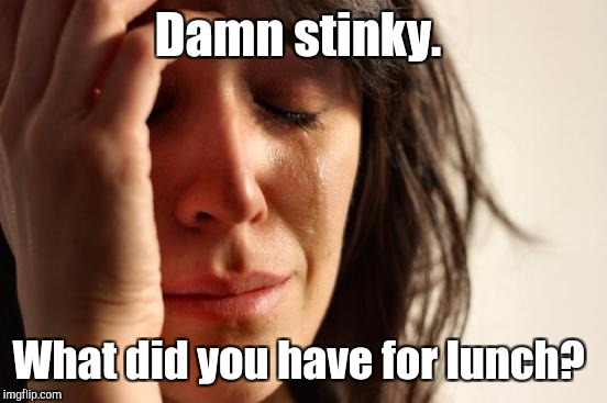First World Problems Meme | Damn stinky. What did you have for lunch? | image tagged in memes,first world problems | made w/ Imgflip meme maker