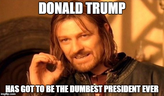 One Does Not Simply Meme | DONALD TRUMP; HAS GOT TO BE THE DUMBEST PRESIDENT EVER | image tagged in memes,one does not simply | made w/ Imgflip meme maker
