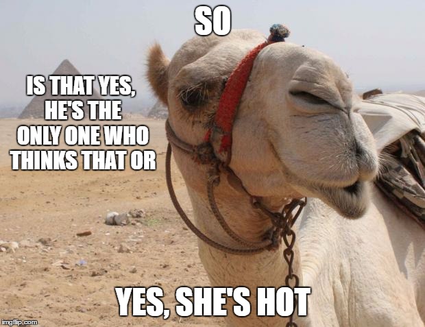 SO YES, SHE'S HOT IS THAT YES, HE'S THE ONLY ONE WHO THINKS THAT OR | made w/ Imgflip meme maker
