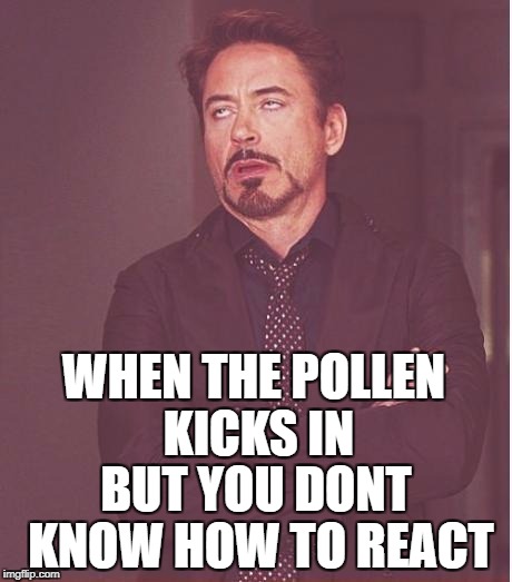 Face You Make Robert Downey Jr Meme | WHEN THE POLLEN KICKS IN; BUT YOU DONT KNOW HOW TO REACT | image tagged in memes,face you make robert downey jr | made w/ Imgflip meme maker