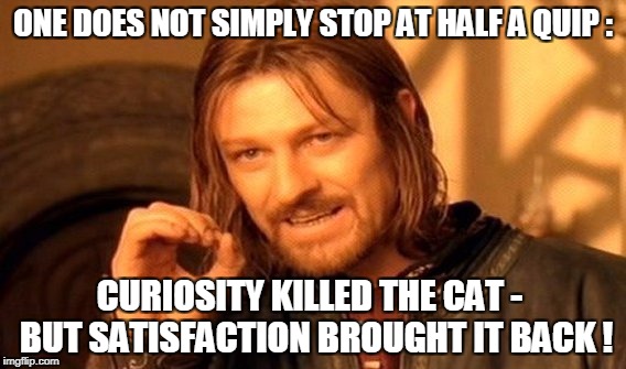 One Does Not Simply Meme | ONE DOES NOT SIMPLY STOP AT HALF A QUIP : CURIOSITY KILLED THE CAT -  BUT SATISFACTION BROUGHT IT BACK ! | image tagged in memes,one does not simply | made w/ Imgflip meme maker