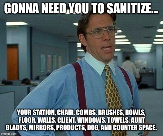 That Would Be Great Meme | GONNA NEED YOU TO SANITIZE... YOUR STATION, CHAIR, COMBS, BRUSHES, BOWLS, FLOOR, WALLS, CLIENT, WINDOWS, TOWELS, AUNT GLADYS, MIRRORS, PRODUCTS, DOG, AND COUNTER SPACE. | image tagged in memes,that would be great | made w/ Imgflip meme maker