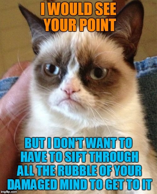 Grumpy Cat Meme | I WOULD SEE YOUR POINT BUT I DON'T WANT TO HAVE TO SIFT THROUGH ALL THE RUBBLE OF YOUR DAMAGED MIND TO GET TO IT | image tagged in memes,grumpy cat | made w/ Imgflip meme maker
