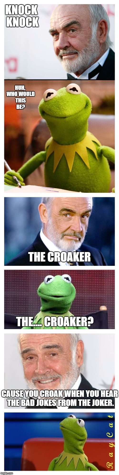 Sean and Kermit | KNOCK KNOCK; HUH, WHO WOULD THIS BE? THE CROAKER; THE.... CROAKER? CAUSE YOU CROAK WHEN YOU HEAR THE BAD JOKES FROM THE JOKER. | image tagged in sean and kermit | made w/ Imgflip meme maker