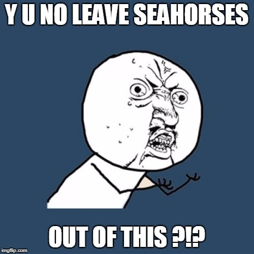 Y U No Meme | Y U NO LEAVE SEAHORSES OUT OF THIS ?!? | image tagged in memes,y u no | made w/ Imgflip meme maker