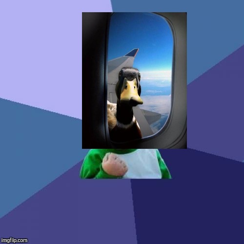 Success Kid Meme | image tagged in memes,success kid | made w/ Imgflip meme maker