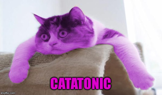CATATONIC | made w/ Imgflip meme maker