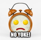 NO YOKE! | made w/ Imgflip meme maker