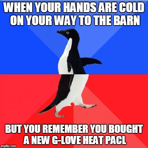 Socially Awkward Awesome Penguin Meme | WHEN YOUR HANDS ARE COLD ON YOUR WAY TO THE BARN; BUT YOU REMEMBER YOU BOUGHT A NEW G-LOVE HEAT PACL | image tagged in memes,socially awkward awesome penguin | made w/ Imgflip meme maker