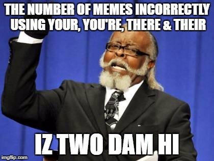Too Damn High Meme | THE NUMBER OF MEMES INCORRECTLY USING YOUR, YOU'RE, THERE & THEIR; IZ TWO DAM HI | image tagged in memes,too damn high | made w/ Imgflip meme maker