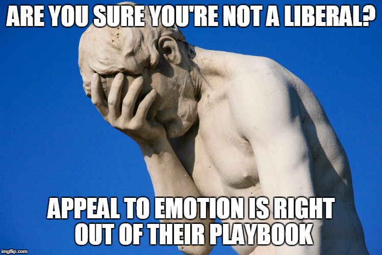 face palm statue | ARE YOU SURE YOU'RE NOT A LIBERAL? APPEAL TO EMOTION IS RIGHT OUT OF THEIR PLAYBOOK | image tagged in face palm statue | made w/ Imgflip meme maker