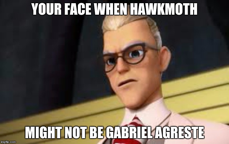 Miraculous Hawk Moth | YOUR FACE WHEN HAWKMOTH; MIGHT NOT BE GABRIEL AGRESTE | image tagged in funny,miraculous ladybug,ladybug,chat | made w/ Imgflip meme maker