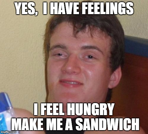 10 Guy Meme | YES,  I HAVE FEELINGS; I FEEL HUNGRY MAKE ME A SANDWICH | image tagged in memes,10 guy | made w/ Imgflip meme maker