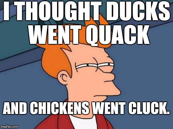 Futurama Fry Meme | I THOUGHT DUCKS WENT QUACK AND CHICKENS WENT CLUCK. | image tagged in memes,futurama fry | made w/ Imgflip meme maker