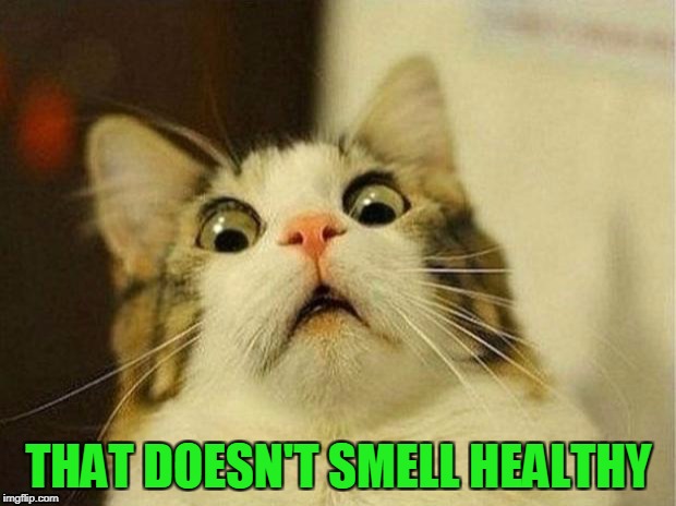 THAT DOESN'T SMELL HEALTHY | made w/ Imgflip meme maker