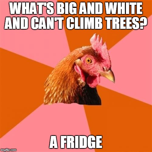Anti Joke Chicken Meme | WHAT'S BIG AND WHITE AND CAN'T CLIMB TREES? A FRIDGE | image tagged in memes,anti joke chicken | made w/ Imgflip meme maker