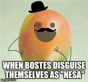Fancy Mango | WHEN BOSTES DISGUISE THEMSELVES AS "NESA" | image tagged in fancy mango | made w/ Imgflip meme maker